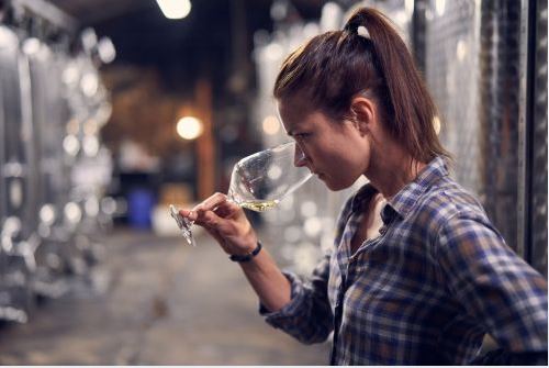 Weingut Wader Folge 3, Foto Degeto